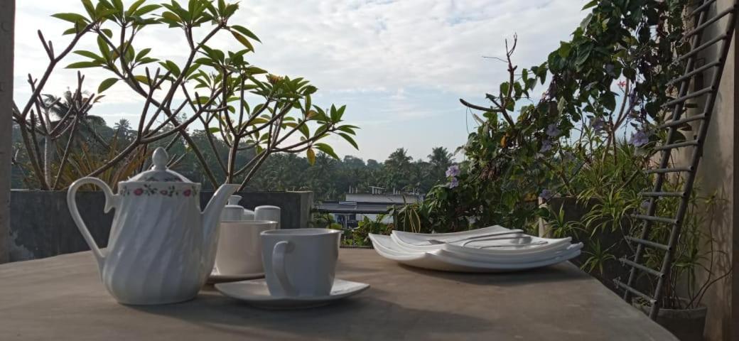 Bed and Breakfast Mandara Rest Хіккадува Екстер'єр фото